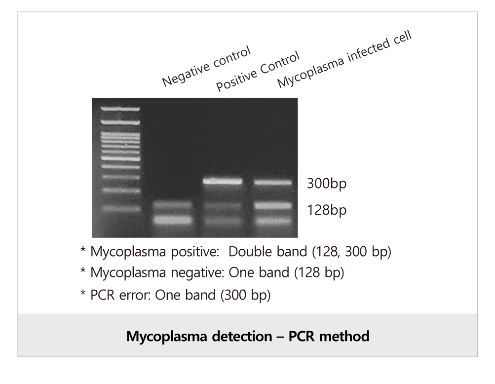 Myco-Read™ (SMD0172)