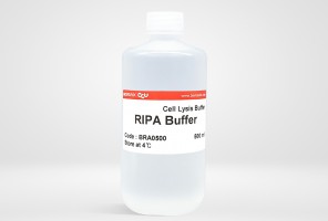 RIPA Buffer (BRA0500)