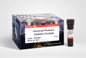 Universal Protease Inhibitor Cocktail (BPI0001)