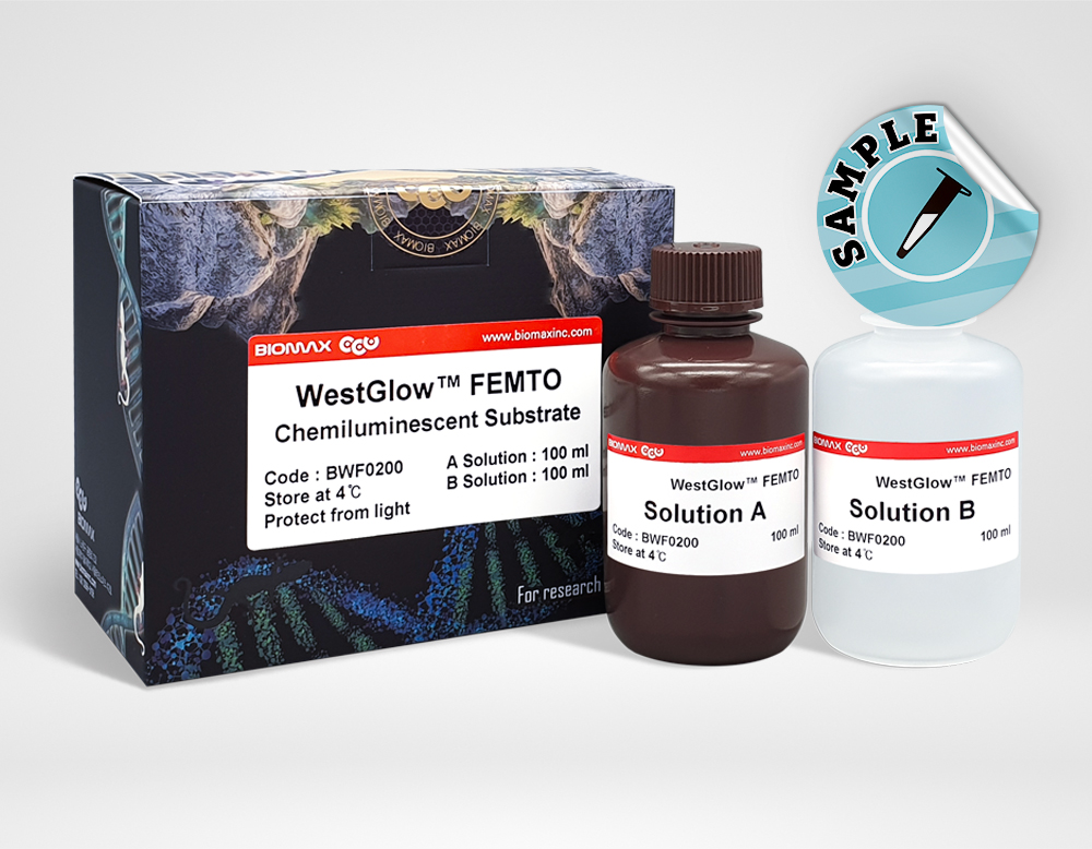 WestGlow™ FEMTO (BWF0100)