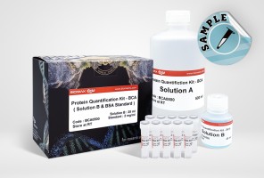 Protein Quantification - BCA (BCA0500)