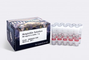 Ampicillin Sodium Salt