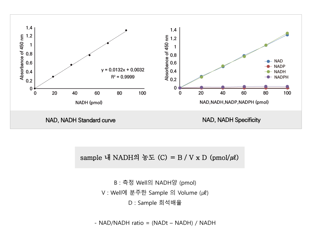 NAD/NADH  (BM-NDH-100)