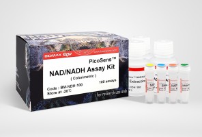 NAD/NADH  (BM-NDH-100)