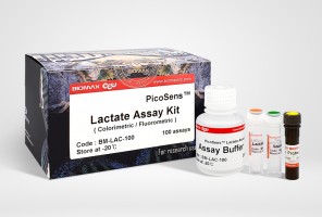 Lactate (BM-LAC-100)