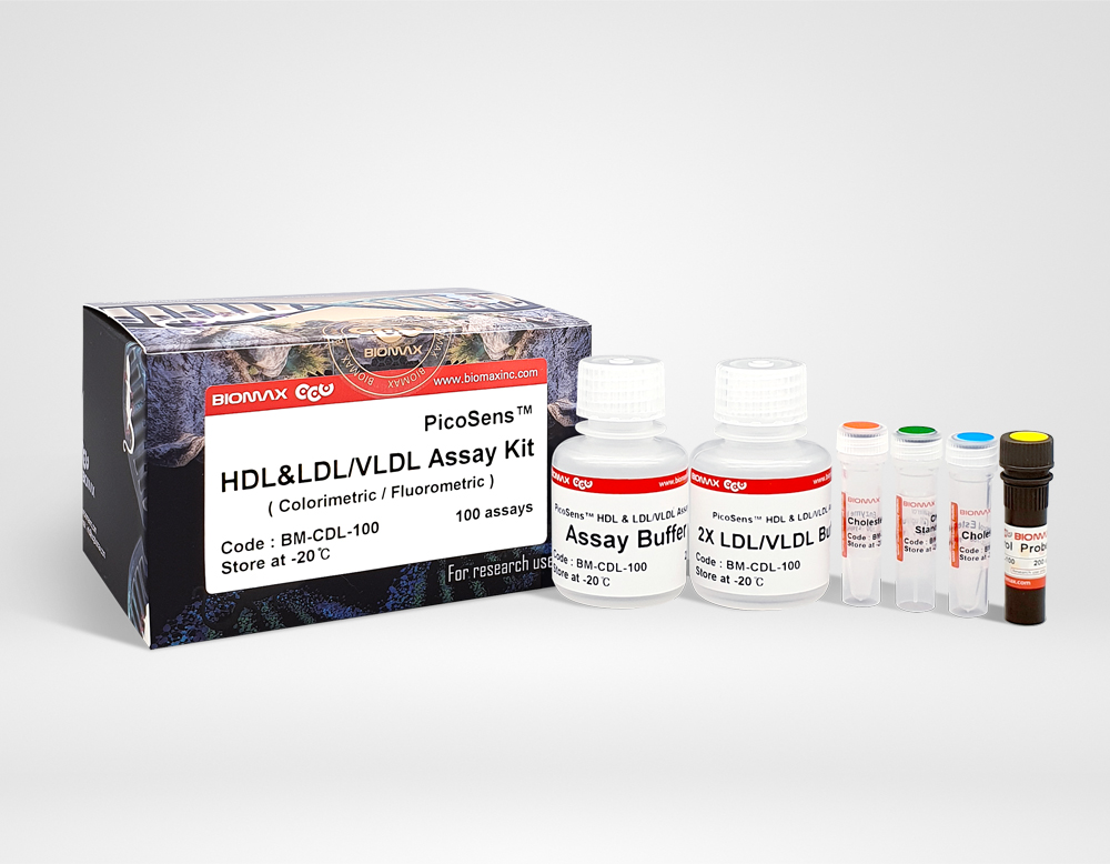 HDL, LDL/VLDL (BM-CDL-100)