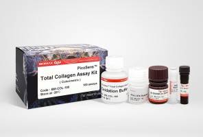 Total Collagen (BM-COL-100)