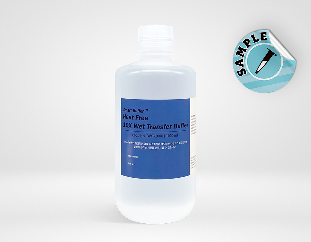 Smart-Buffer™ Heat-Free 10X Wet Transfer Buffer (BWT-1000)