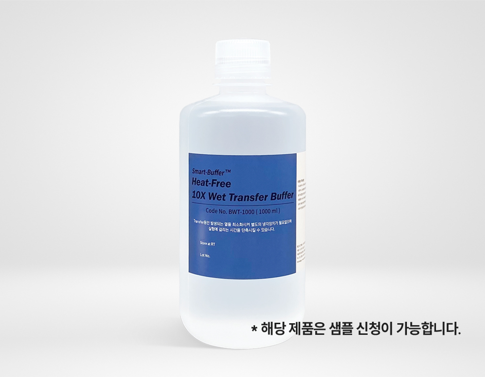 Smart-Buffer™ Heat-Free 10X Wet Transfer Buffer (BWT-1000)