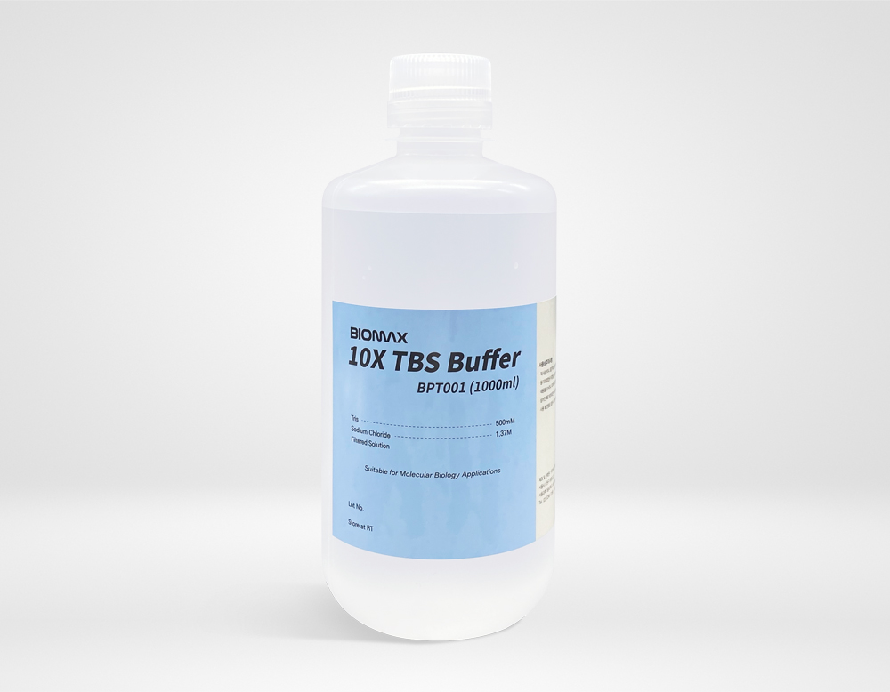10X TBS Buffer (BPT001)
