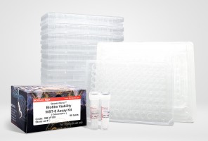 Quanti-Micro™ Biofilm Viability WST-8 (QB-W100)