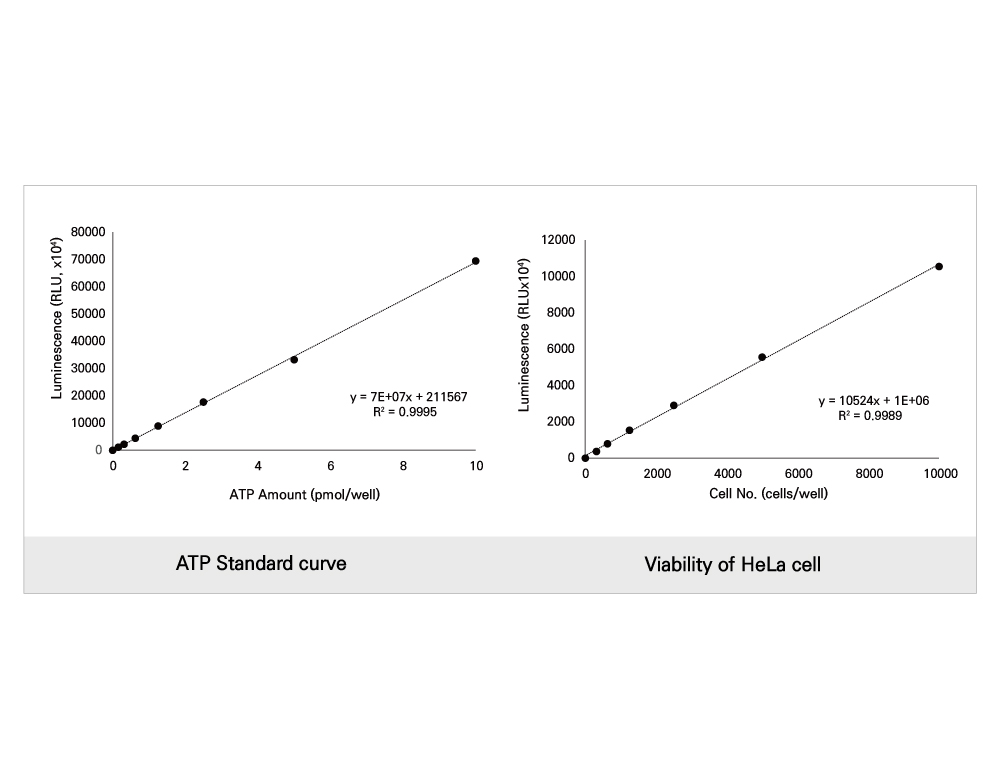 Quanti-ATP™ Luciferase (QA-0100)