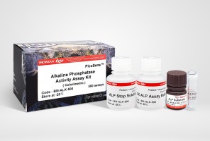 Alkaline Phosphatase Activity (BM-ALK-500)