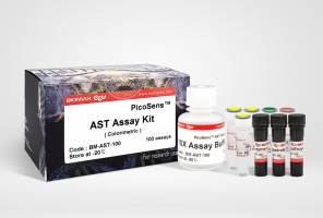 AST Assay Kit (BM-AST-100)