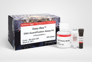 Easy-iSee™ DNA Quantification Assay kit (BD-QUA-200)