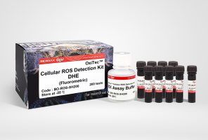 Cellular ROS Detection Kit-DHE (BO-ROS-SH200)